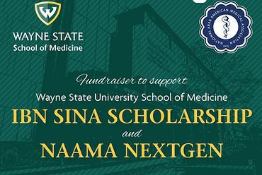 Ibn Sina Scholarship